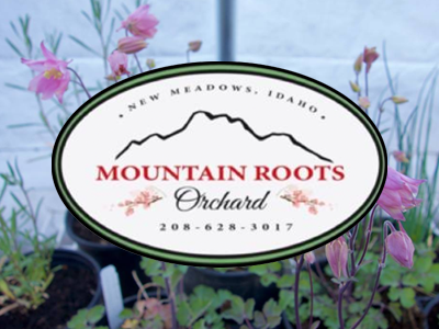 Mountain Roots Orchard