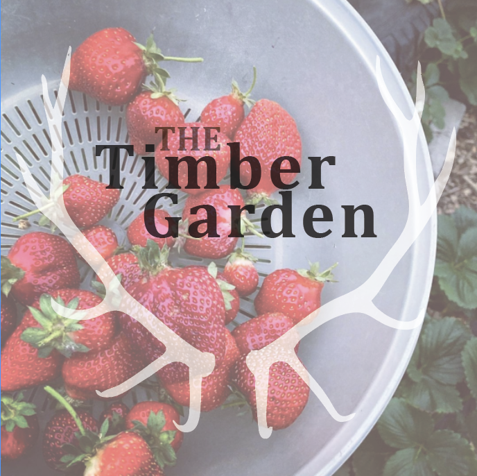 Timber Garden Logo