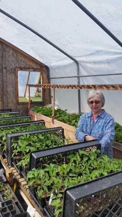 Patsy's Greenhouse