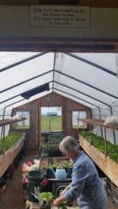 Patsy in one of her greenhouses.